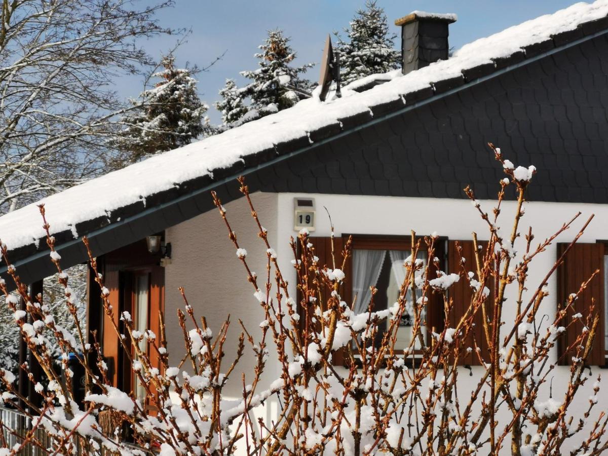 Bb19 Eifel-Ferienhaus Am Moseltal Mit Saunahaus Beuren  Екстер'єр фото